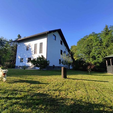Studio Apartman Gorica Ogulin Exterior photo