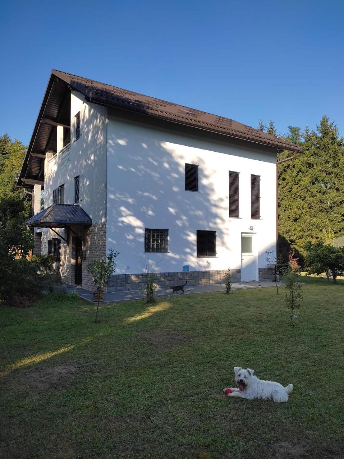 Studio Apartman Gorica Ogulin Exterior photo